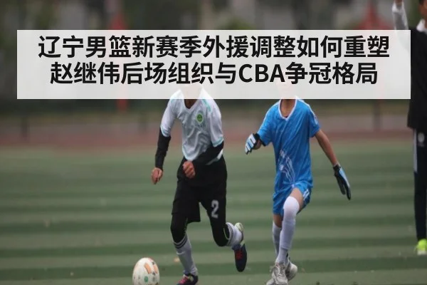 辽宁男篮新赛季外援调整如何重塑赵继伟后场组织与CBA争冠格局