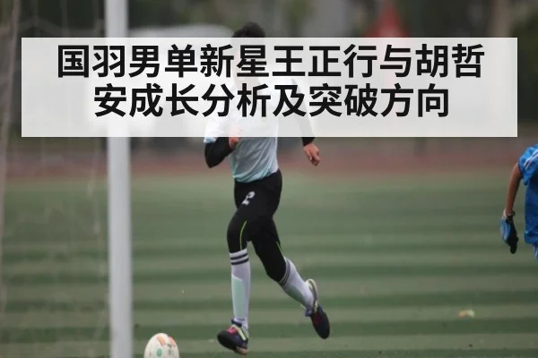国羽男单新星王正行与胡哲安成长分析及突破方向